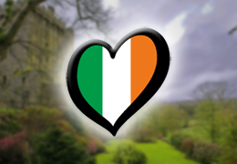 ESC 2008: Irland