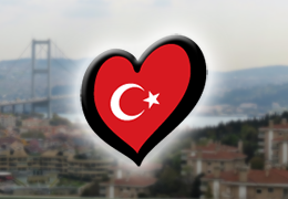 ESC 2008: Türkei